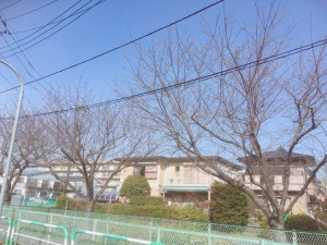 image1 (9)